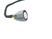 LS1 Stand Alone Engine Wiring Harness With A/C Wiring