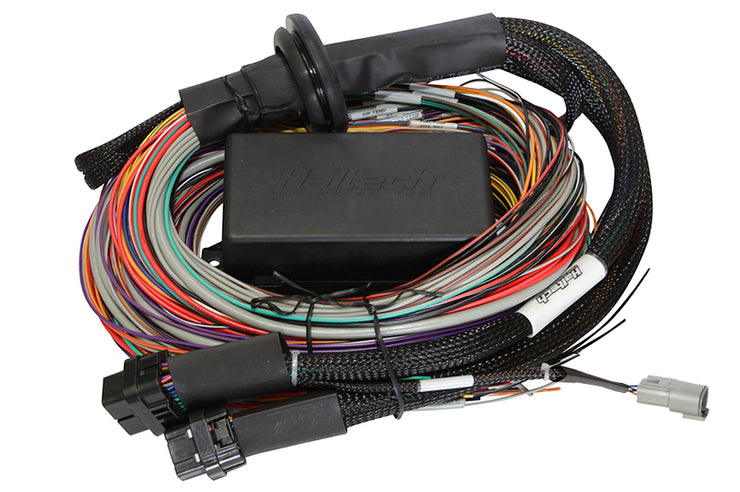 HT-140904 Elite 1500 - 2.5m (8 ft) Premium Universal Wiring Harness Only