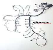LSA E67 Stand Alone Engine Wiring Harness
