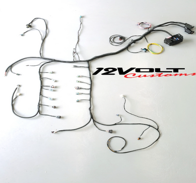 L76 L77 L98 LS3 Stand Alone Engine Wiring Harness